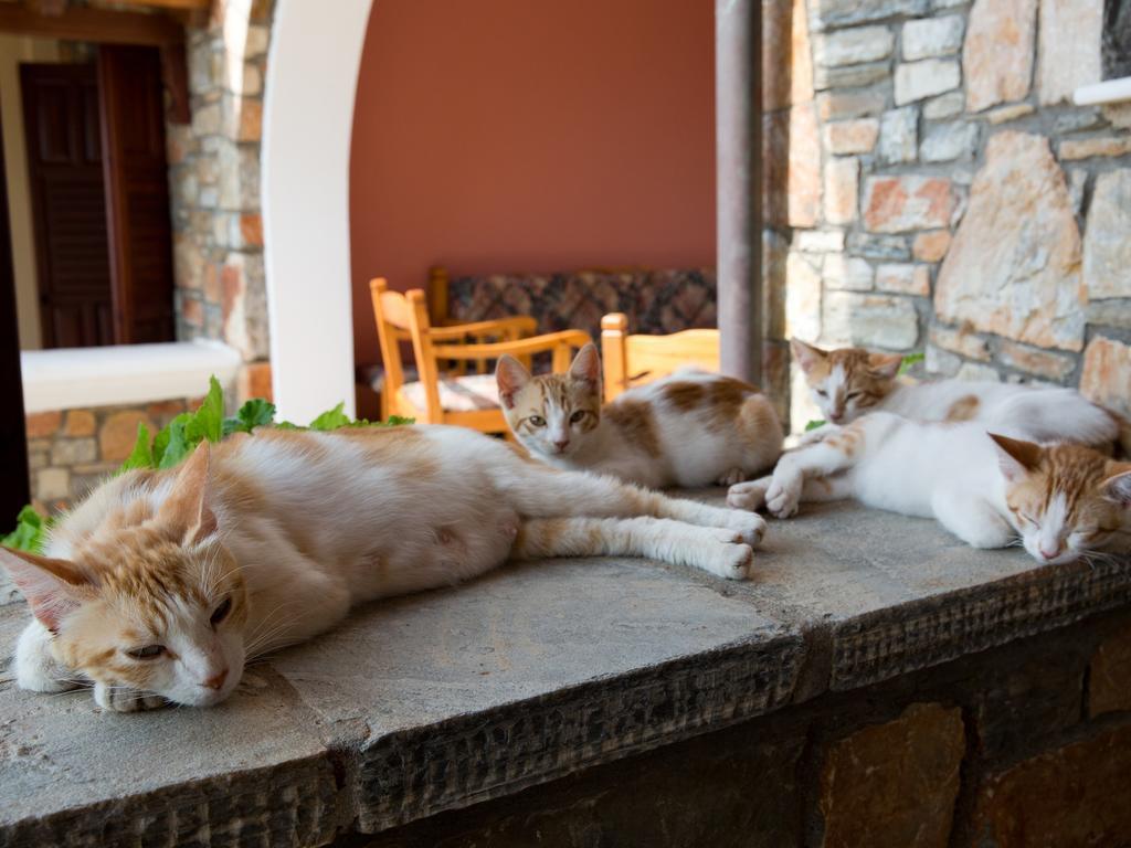 Alonissos Muses Villas Kalamakia Экстерьер фото